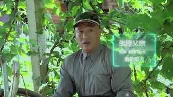 黄圣依爆料宋小宝视频在线观看,在线观看引发热议 第2张 黄圣依爆料宋小宝视频在线观看,在线观看引发热议 第2张